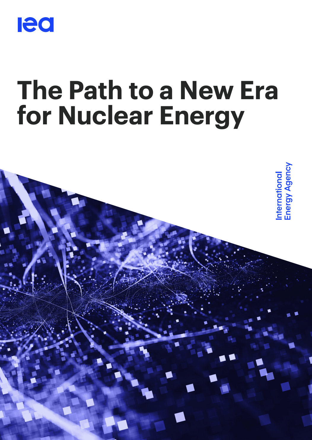 The path to a new era for nuclear energy